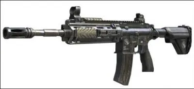 Le nom de cette arme est :