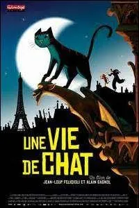 Réalisé par Alain Gagnol et Jean-Loup Felicioli « Une vie de chat » est un long métrage d'animation franco-belge qui est sorti en 2010 !