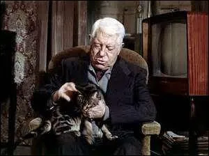 Sorti en 1971, ce film a été réalisé par Pierre Granier-Deferre, c'est un film franco-italien, Jean Gabien était l'acteur principal. Mais après toutes ces informations, avez-vous découvert le titre du film ?
