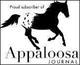 De quel pays provient cette race de chevaux ?