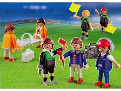 Les arbitres sont ici et noir et vert mais de quelle(s) couleur(s) sont les nouveaux ?