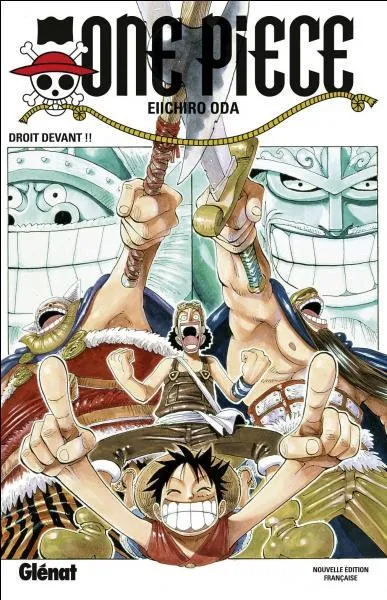 Quel est le numéro de ce tome ?