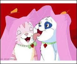 Comment s'appellent-ils ?