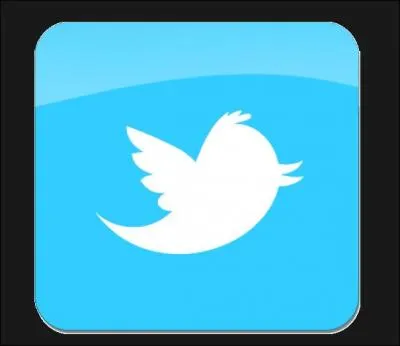 Les personnes les plus suivies sur Twitter sont...