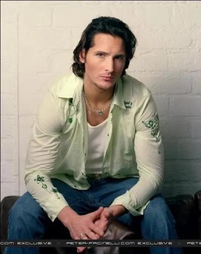 Dans quel film a-t-il joué le rôle du policier Donovan ''Van'' Ray ?