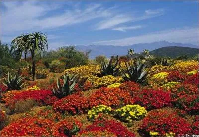 Mon 1er signifie ''donne pendant un certain temps'' ... Mon 2e est un métal précieux... Mon 3e complète ce titre de Polnareff : ''------ qu'un cheveu'' ... Et mon tout est la capitale de...