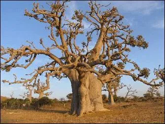 Mon 1er est la capitale du Bengladesh... Mon 2nd est un film d'Alain Chabat où tous les héros s'appelaient Pierre... Et mon tout est la capitale du...