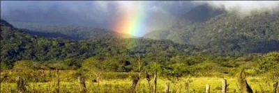 Mon 1er est le nom d'une actrice et d'un président américains... Mon 2nd est une route antique... Et mon tout est la capitale du...