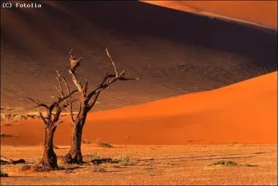 Mon 1er est le féminin de ''con'' ... Mon 2e est l'acronyme du Havre Athletic Club... Mon 3e, si on en prend un sur un bateau, on réduit la voile... Et mon tout est la capitale de...