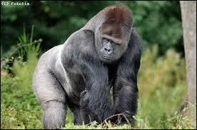 Mon 1er peut être au nombre de 7 maximum sur un grand voilier... Mon 2nd est une apocope de laboratoire... Et mon tout est la capitale de...