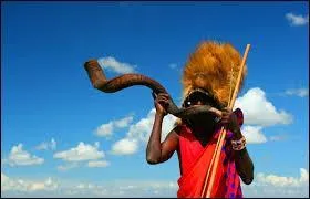 Mon 1er est un programme de gravure... Mon 2nd, s'il est grand est un vélo du XIXe siècle... Et mon tout est la capitale du...