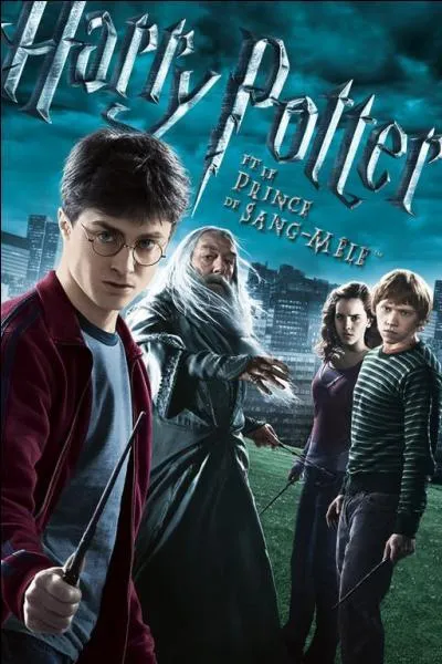 Quel est le professeur de défense contre les forces du Mal dans "Harry Potter 6" ?