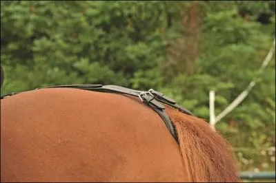 Comment s'appelle cette partie de la selle ?