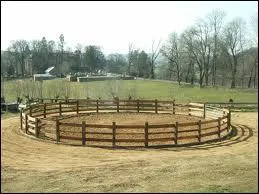Comment s'appelle ce lieu où l'on fait travailler le cheval ?