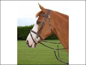 La muserolle sur la photo est :