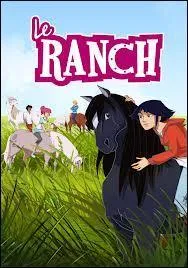 Quel cheval n'est pas dans ce film ?