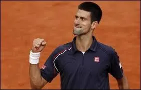 Quel(s) Grand(s) Chelem(s) Djokovic a-t-il gagné(s) en 2014 ?