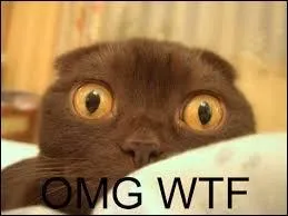 Que signifie le mot "OMG" ?