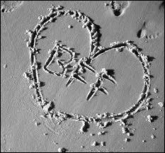 Que signifie le mot "BFF" ?