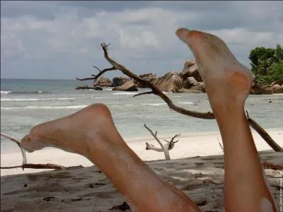 2013. Tom Jules : "La la la la / ... / la la la la / la danse de l'été / la la la la / c'est pas compliqué / la la la la / allez viens danser" ! (clip)