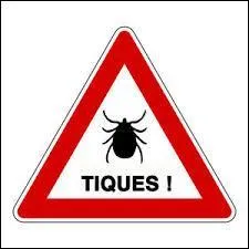 Quelle maladie provoque les tiques ?
