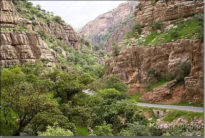 Mon 1er est ''sac'' en anglais... Mon 2nd est ''papa'' en anglais... Et mon tout est la capitale...