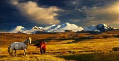 Mon 1er est un pronom relatif... Mon 2e un maréchal d'Empire prénommé Jean... Mon 3e sert au base-ball ou au cricket... Mon 4e est la matière d'une médaille de vainqueur... Et mon tout est la capitale de...