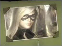 Green Arrow a regardé une des photos de...