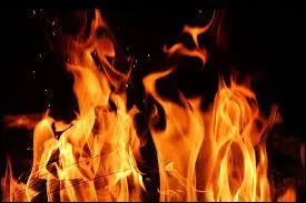 Quelle est la couleur favorite de Peeta ?