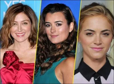 De ces trois agents, lequel vient de la "NSA" ?