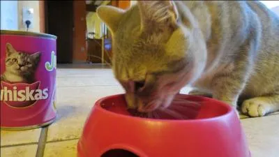 Il faut laisser les choses comme elles sont pour éviter un conflit. Il ...