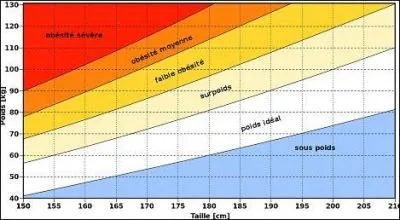 L'indice de masse corporelle (IMC) a été inventé par un scientifique :