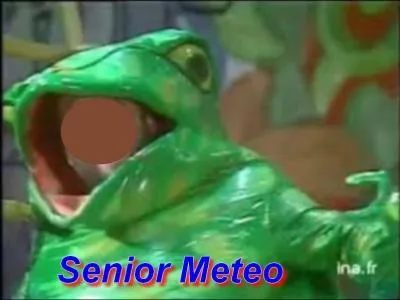 Qui se trouve dans la grenouille ?