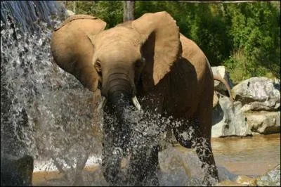 Dans quel département peut-on visiter le zoo du 'Tertre Rouge" près de La Flèche, l'un des 5 plus grands de l'Hexagone où vous verrez plus de 1200 animaux de 120 espèces?