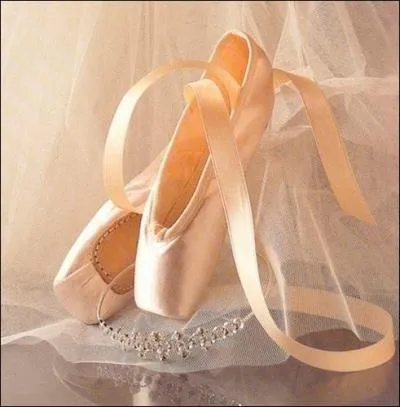 Comment s'appellent ces chaussons ?