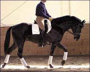 Quel est le mécanisme du pas ?