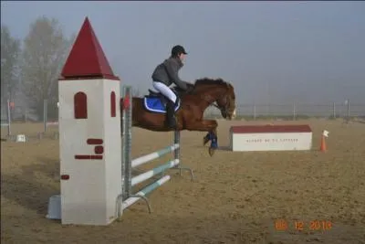 Quel est le mécanisme du galop à gauche ?