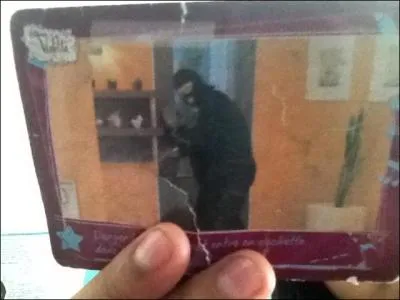 Qui se cache sous le costume de Ninja ?