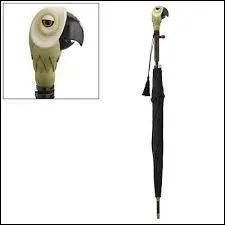 Un perroquet bien curieux qui reste figé sur son axe mais n'hésite pas à prendre la parole... Après tout, c'est un perroquet !