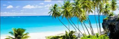 Mon 1er n'est pas consommé par les juifs, les musulmans et les végétariens... Mon 2e est un chanteur suisse moustachu qui écrit et compose pour les enfants... Mon 3e est un vêtement cache-sexe primitif... Et mon tout est la capitale...