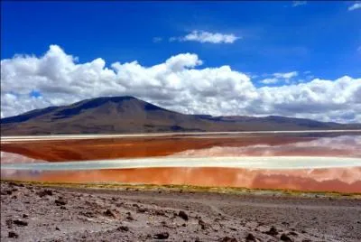 Mon 1er est synonyme de ''boit avec la langue'' ... Mon 2nd est la femelle du lièvre... Et mon tout est la capitale...