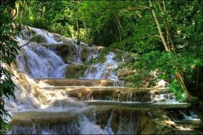 Mon 1er était le surnom d'Elvis Presley... Mon 2nd est le nom du réalisateur du film ''JFK'' ... Et mon tout est la capitale...