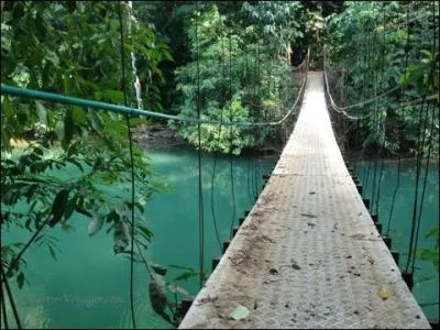 Mon 1er est un ''père'' fêté par les lycéens... Mon 2nd est un vin de Provence qu'on boit surtout l'été... Et mon tout est la capitale...