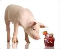 Si vous avez donné de la confiture aux cochons, c'est que vous ...