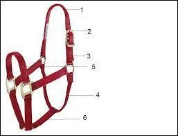 Donnez dans l'ordre le nom des nombres 1, 4, 5 et 6 :
