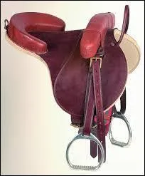 Quelle est cette selle ?