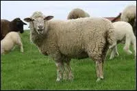 Si vous cherchez quelque chose qui n'existe pas, vous cherchez ...