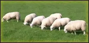 Si vous n'arrivez pas à dormir, vous pouvez ...