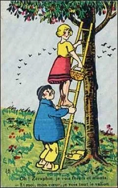 Août mûrit les fruits, septembre les ... !