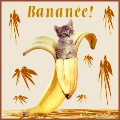 "... beau, mois d'août très chaud".